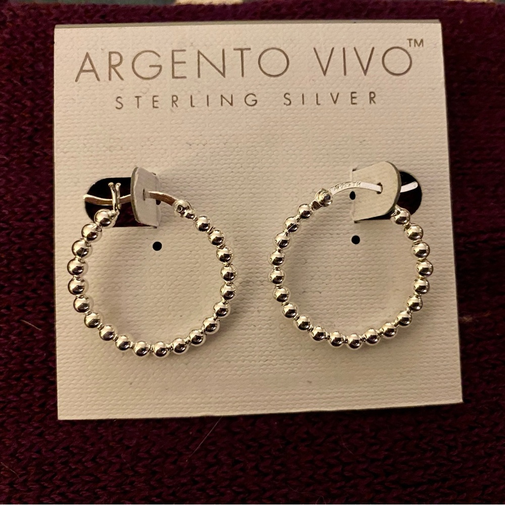 Silver Hoop Earrings